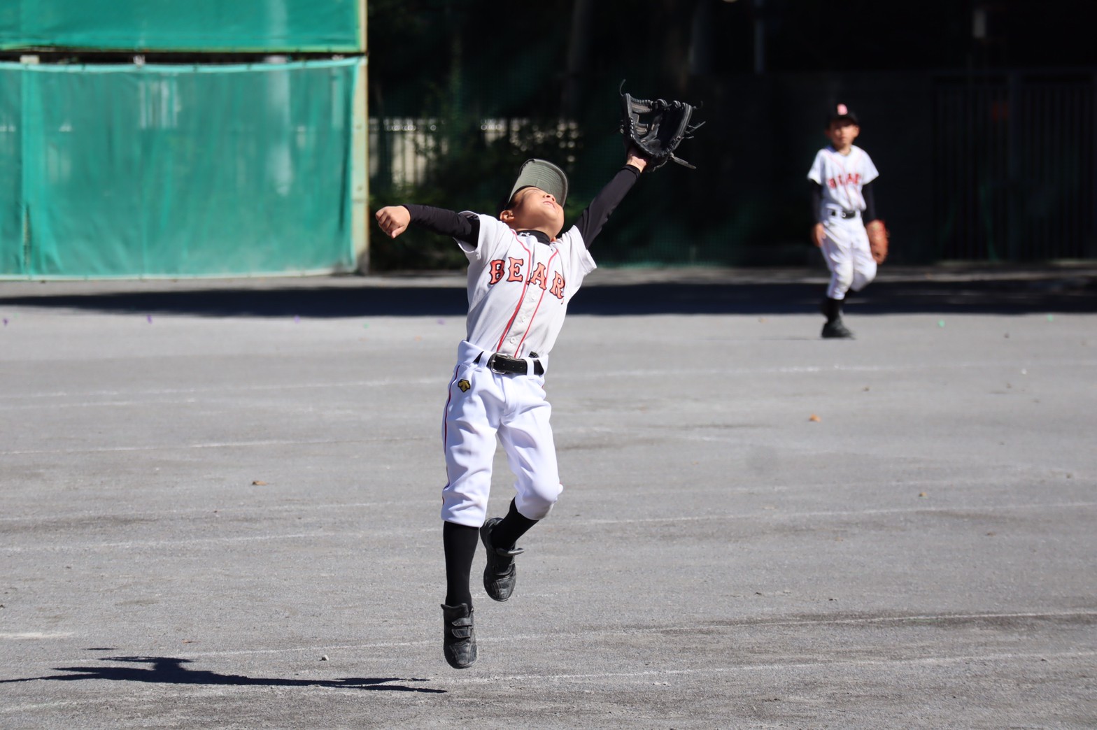 おっと💦   これじゃない💦