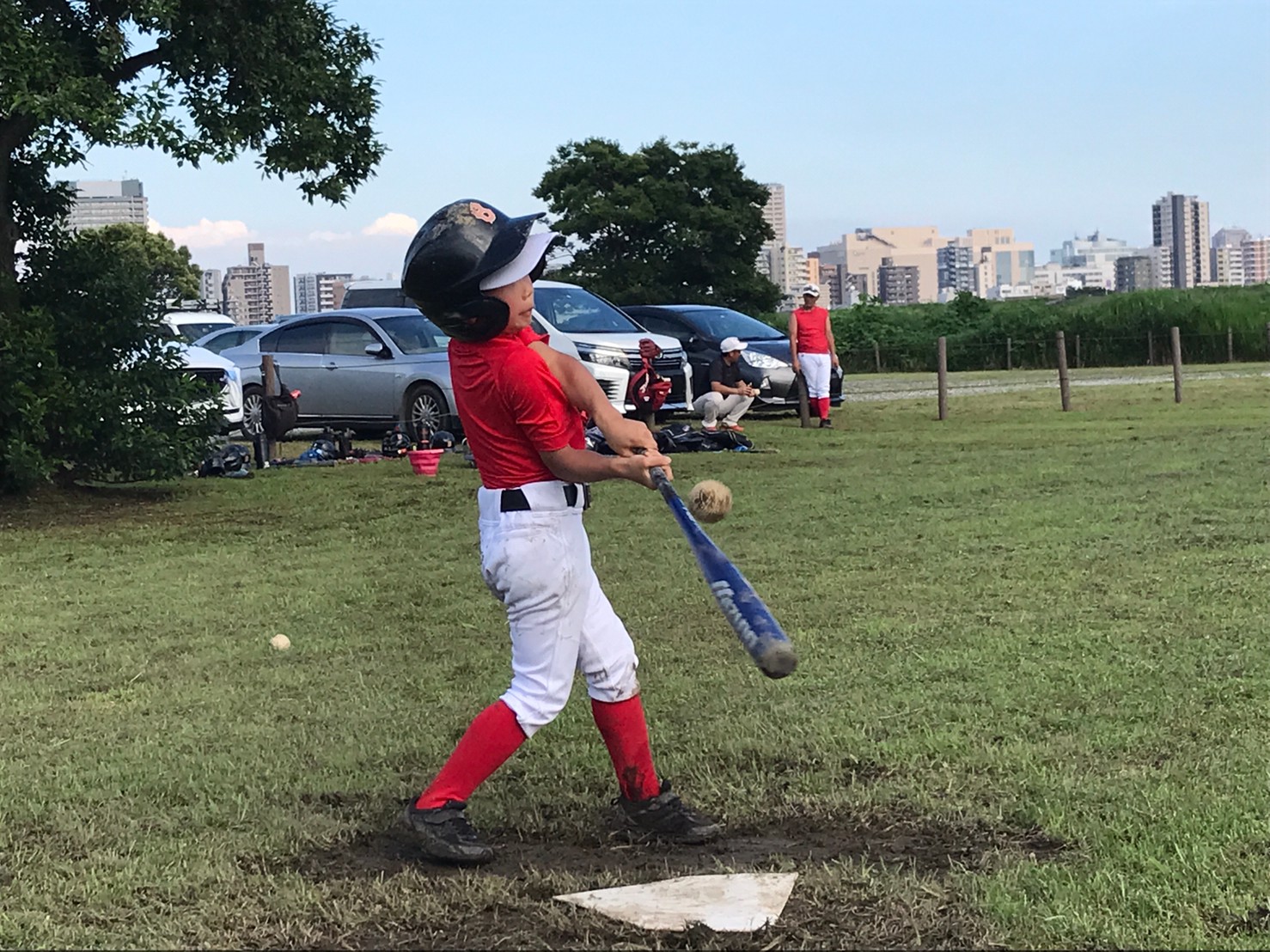 ちょっと根っこだねー