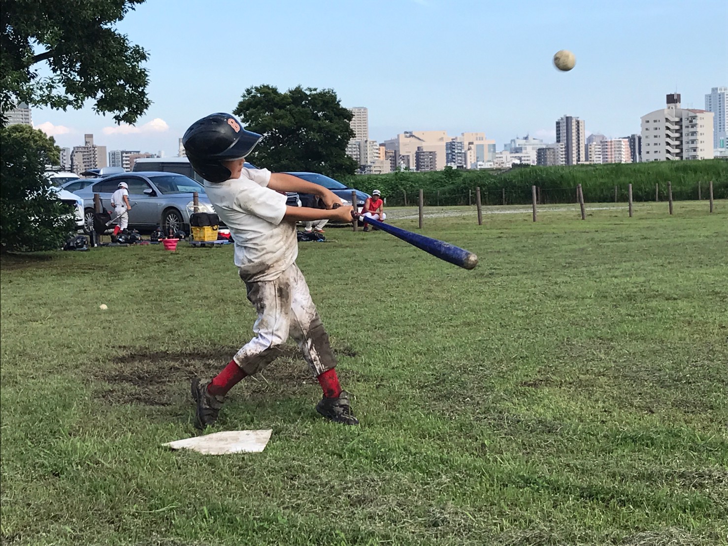 ちょっと根っこだねー